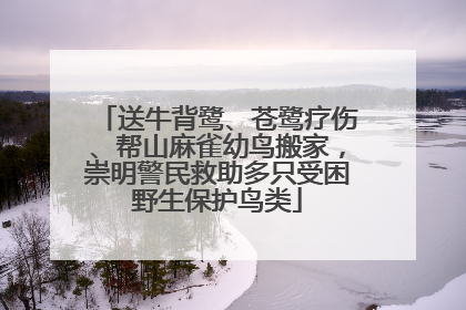 送牛背鹭、苍鹭疗伤、帮山麻雀幼鸟搬家，崇明警民救助多只受困野生保护鸟类