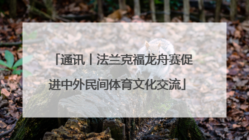 通讯丨法兰克福龙舟赛促进中外民间体育文化交流