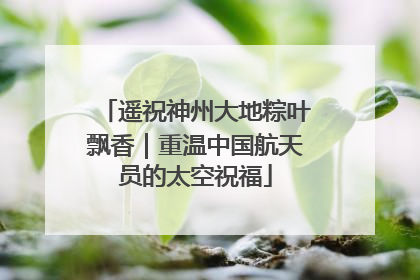 遥祝神州大地粽叶飘香｜重温中国航天员的太空祝福