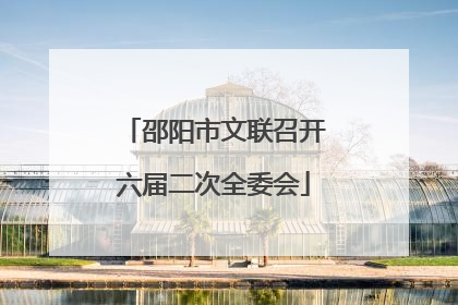邵阳市文联召开六届二次全委会