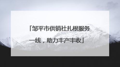 邹平市供销社扎根服务一线，助力丰产丰收