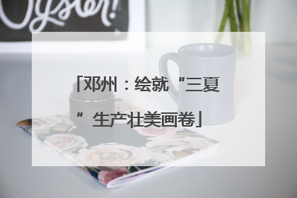 邓州：绘就“三夏”生产壮美画卷