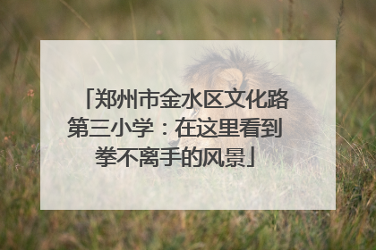 郑州市金水区文化路第三小学：在这里看到拳不离手的风景