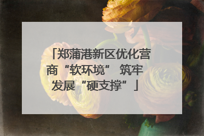 郑蒲港新区优化营商“软环境” 筑牢发展“硬支撑”