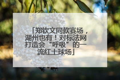 郑钦文同款赛场，湖州也有！对标法网打造会“呼吸”的一流红土球场