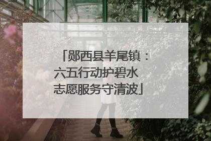 郧西县羊尾镇：六五行动护碧水 志愿服务守清波