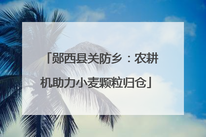 郧西县关防乡：农耕机助力小麦颗粒归仓