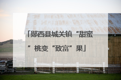 郧西县城关镇“甜蜜”桃变“致富”果