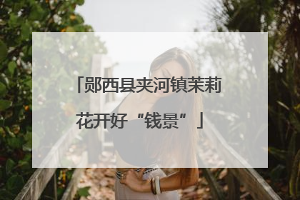 郧西县夹河镇茉莉花开好“钱景”