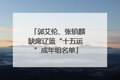 郭艾伦、张镇麟缺席辽篮“十五运”成年组名单