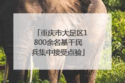 重庆市大足区1800余名基干民兵集中接受点验