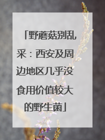 野蘑菇别乱采：西安及周边地区几乎没食用价值较大的野生菌