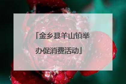 金乡县羊山镇举办促消费活动