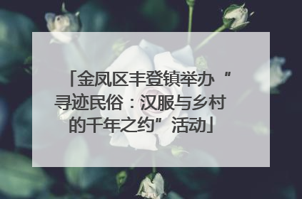 金凤区丰登镇举办“寻迹民俗：汉服与乡村的千年之约”活动
