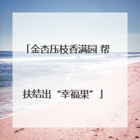 金杏压枝香满园 帮扶结出“幸福果”