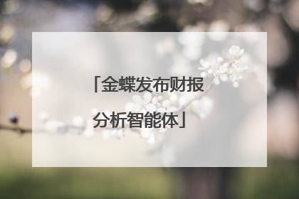 金蝶发布财报分析智能体