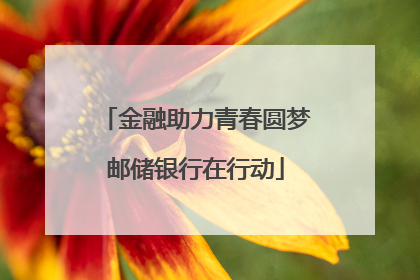 金融助力青春圆梦邮储银行在行动