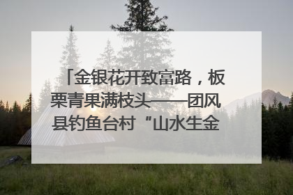 金银花开致富路，板栗青果满枝头——团风县钓鱼台村“山水生金”谱写共富新篇章