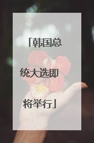韩国总统大选即将举行
