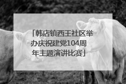 韩店镇西王社区举办庆祝建党104周年主题演讲比赛