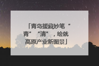 青岛援藏妙笔“青”“清”，绘就高原产业新图景