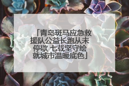 青岛斑马应急救援队公益长跑从未停歇 七载坚守绘就城市温暖底色