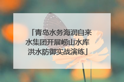 青岛水务海润自来水集团开展崂山水库洪水防御实战演练