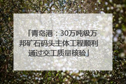 青岛港：30万吨级万邦矿石码头主体工程顺利通过交工质量核验