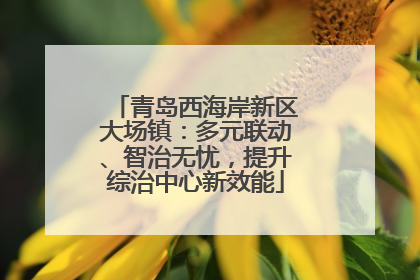 青岛西海岸新区大场镇：多元联动、智治无忧，提升综治中心新效能