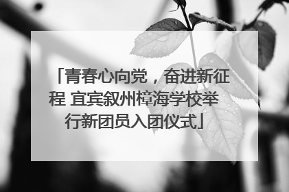 青春心向党，奋进新征程 宜宾叙州樟海学校举行新团员入团仪式