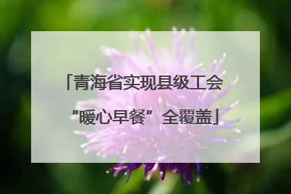 青海省实现县级工会“暖心早餐”全覆盖