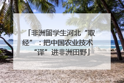 非洲留学生河北“取经”：把中国农业技术“译”进非洲田野