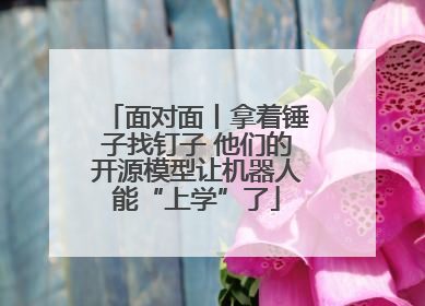 面对面丨拿着锤子找钉子 他们的开源模型让机器人能“上学”了