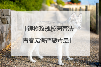 铿将玫瑰校园普法 青春无悔严惩毒患