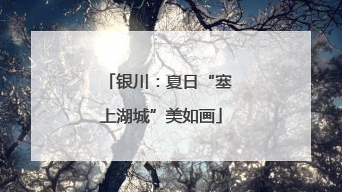 银川：夏日“塞上湖城”美如画
