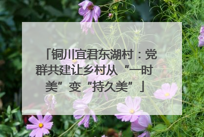 铜川宜君东湖村：党群共建让乡村从“一时美”变“持久美”