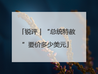 锐评｜“总统特赦”要价多少美元