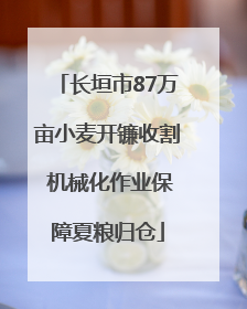 长垣市87万亩小麦开镰收割 机械化作业保障夏粮归仓