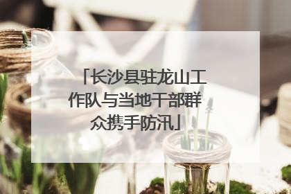 长沙县驻龙山工作队与当地干部群众携手防汛