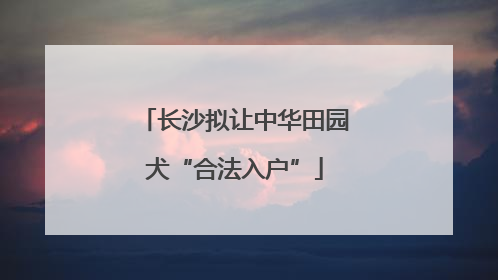 长沙拟让中华田园犬“合法入户”