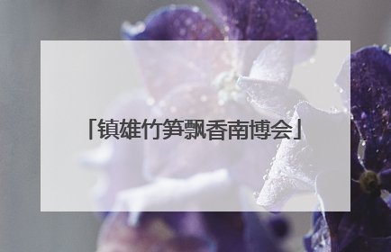 镇雄竹笋飘香南博会