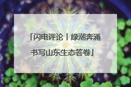 闪电评论丨绿潮奔涌 书写山东生态答卷