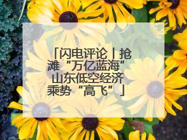 闪电评论丨抢滩“万亿蓝海” 山东低空经济乘势“高飞”