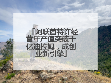 阿联酋特许经营年产值突破千亿迪拉姆，成创业新引擎