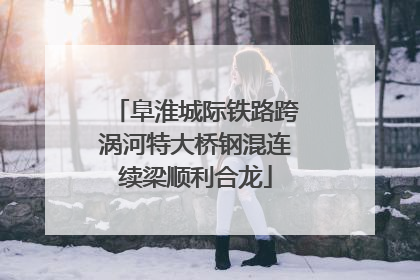 阜淮城际铁路跨涡河特大桥钢混连续梁顺利合龙