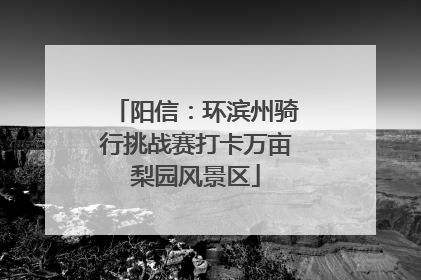阳信：环滨州骑行挑战赛打卡万亩梨园风景区