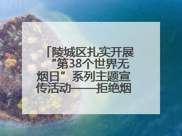 陵城区扎实开展“第38个世界无烟日”系列主题宣传活动——拒绝烟草诱惑 对第一支烟说不