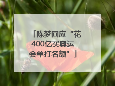 陈梦回应“花400亿买奥运会单打名额”