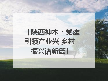 陕西神木：党建引领产业兴 乡村振兴谱新篇