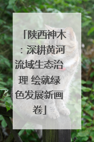 陕西神木：深耕黄河流域生态治理 绘就绿色发展新画卷